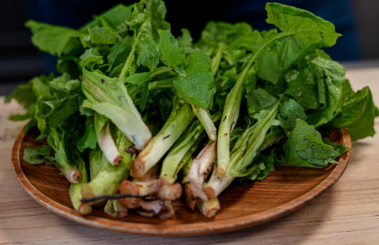 ©ManuelaWilpernig-28_Bergradicchio ©ManuelaWilpernig-28_Bergradicchio