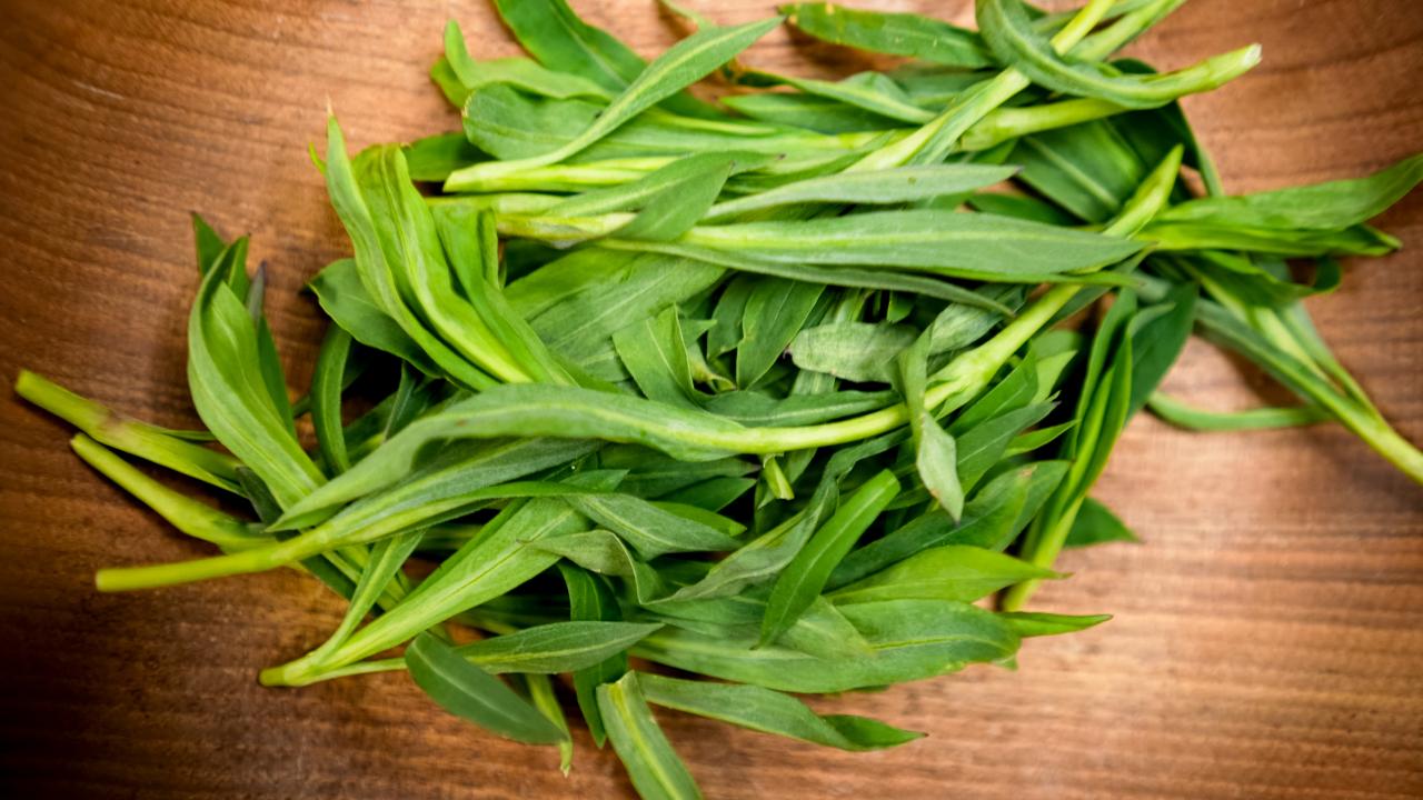 ©ManuelaWilpernig-13 ©ManuelaWilpernig-13