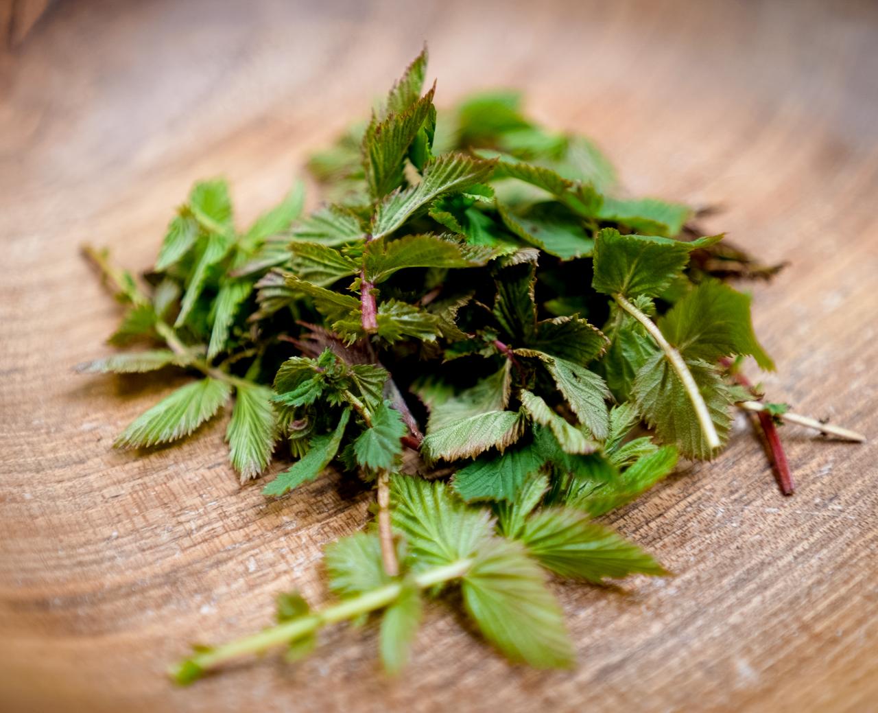 ©ManuelaWilpernig-00 ©ManuelaWilpernig-00