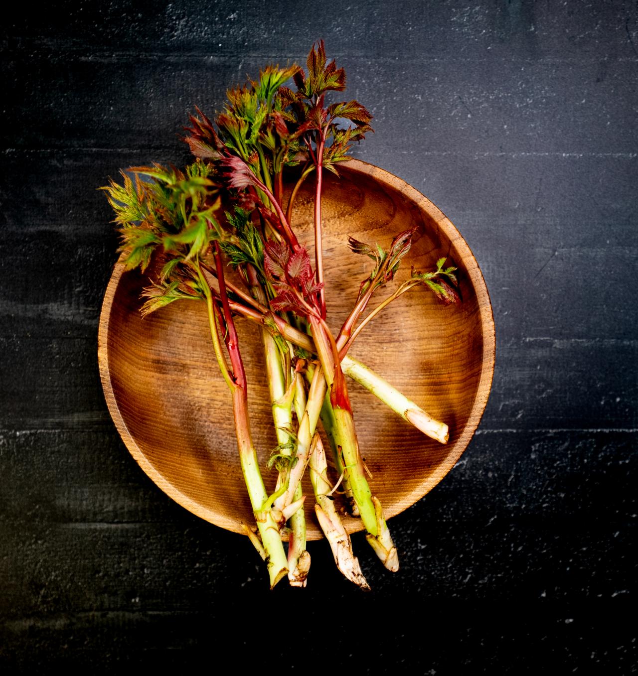 ©ManuelaWilpernig-06717 ©ManuelaWilpernig-06717