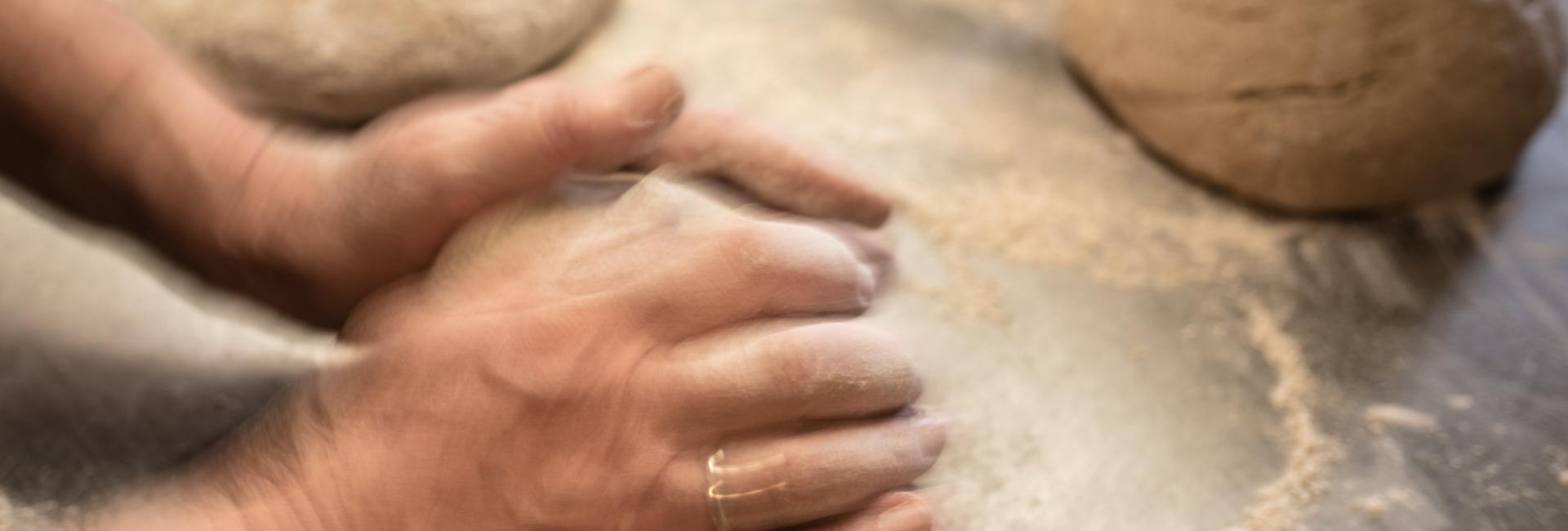 Forelle_Okt2016-240 Forelle_Okt2016-240