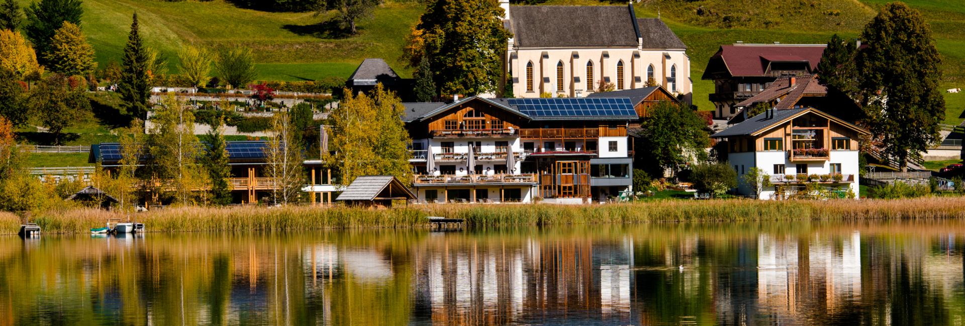 Forelle-!9-25 Forelle-!9-25