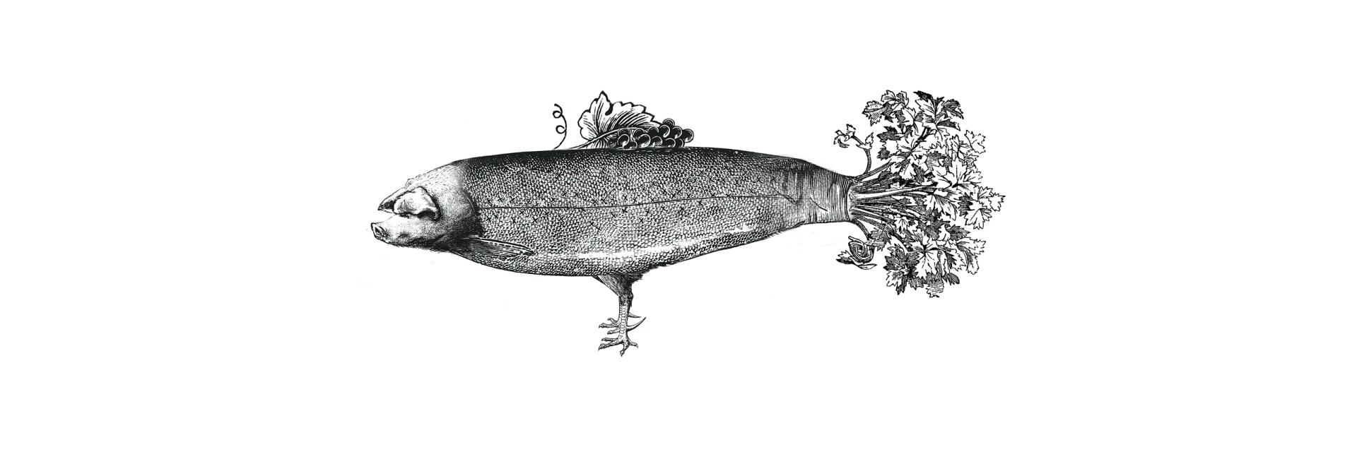 Fischschwein Fischschwein