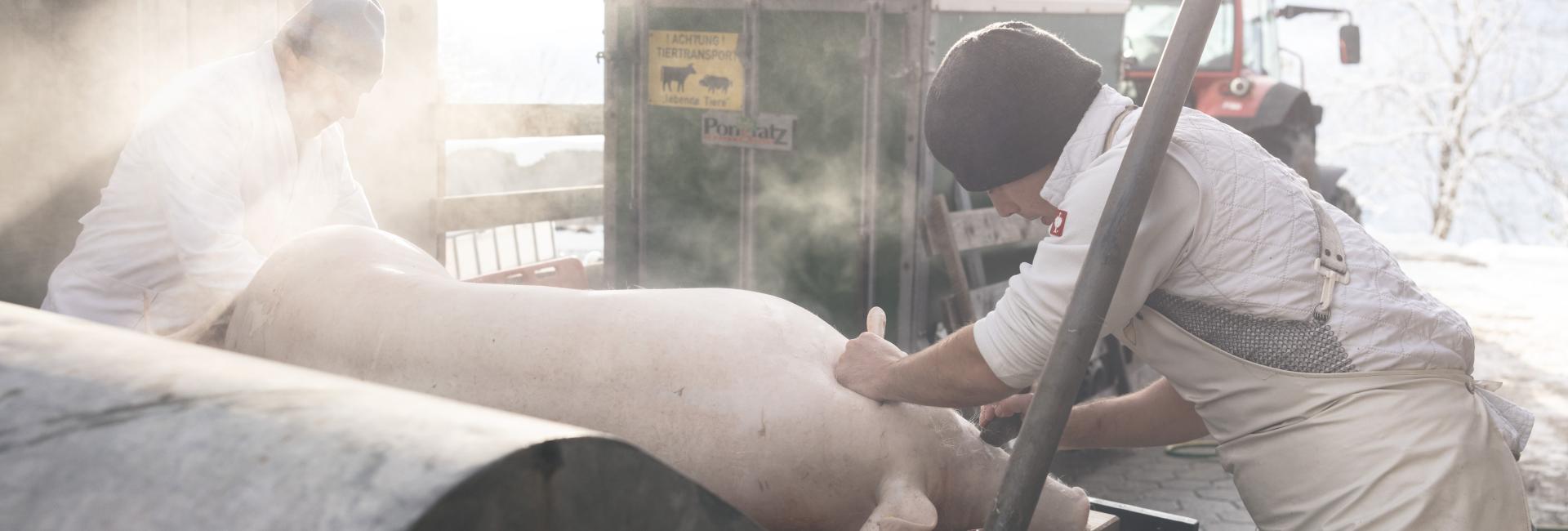 _RD_7643_RGB _RD_7643_RGB