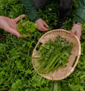 Kr+ñuter_etc-14 Kr+ñuter_etc-14