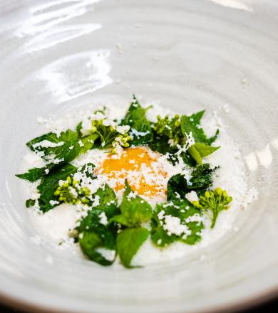 ©ManuelaWilpernig_Taubnessel-06903 ©ManuelaWilpernig_Taubnessel-06903