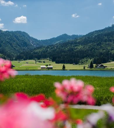 Forelle-Sommer18-9