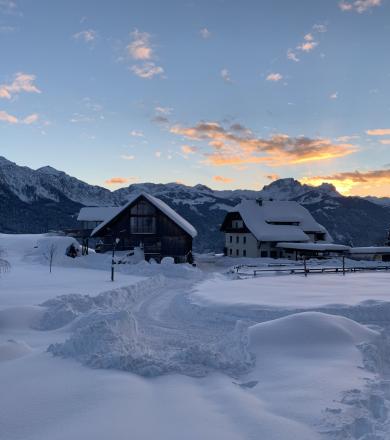 Mösslacherhof Mösslacherhof