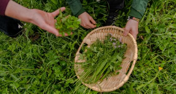 Kr+ñuter_etc-14 Kr+ñuter_etc-14