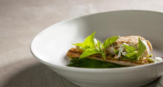 Forelle_05-22_Food_300dpi_015 Forelle_05-22_Food_300dpi_015