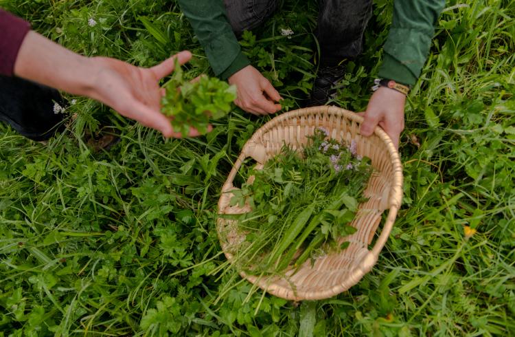 Kr+ñuter_etc-14 Kr+ñuter_etc-14